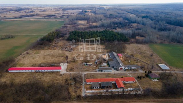 Eladó ipari ingatlan, Turán 165 M Ft / költözzbe.hu