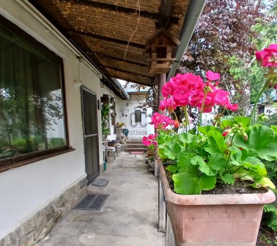 Eladó családi ház, Szentendrén 199.5 M Ft, 8 szobás