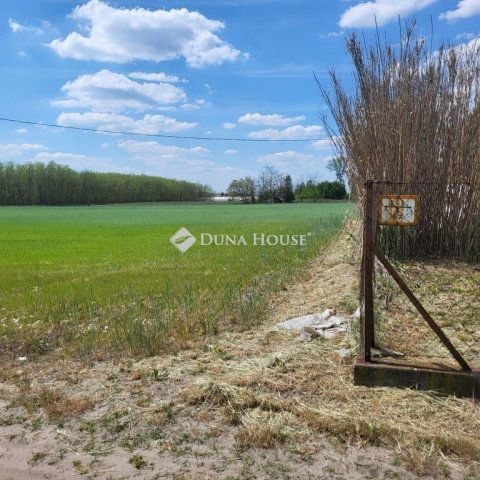 Eladó telek, Balástyán 5 M Ft / költözzbe.hu