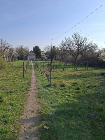 Eladó családi ház, Budapesten, XXI. kerületben 32 M Ft, 1 szobás