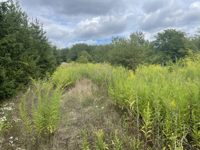 Eladó mezogazdasagi ingatlan, Szomódon 19 M Ft