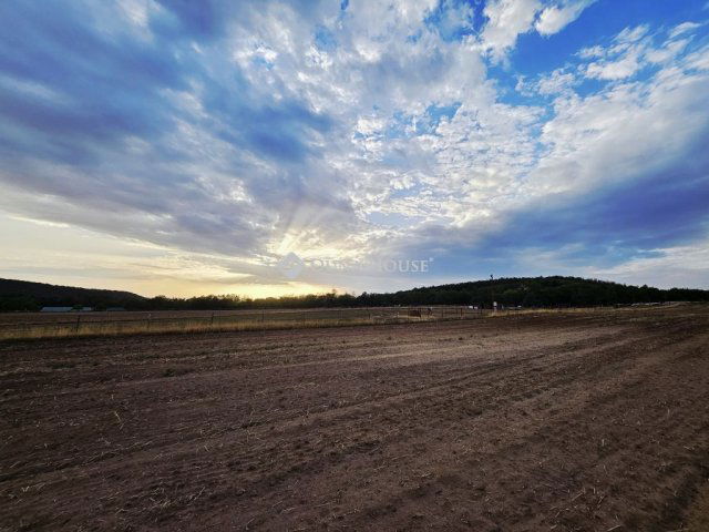 Eladó mezogazdasagi ingatlan, Mogyoródon 37.9 M Ft