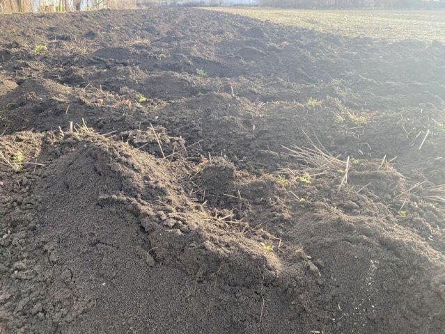 Eladó mezogazdasagi ingatlan, Hódmezővásárhelyen 1.35 M Ft