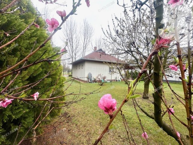 Eladó családi ház, Cserkeszőlőn 44.9 M Ft, 3 szobás