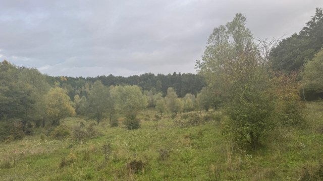 Eladó ipari ingatlan, Sáskán 102.108 M Ft / költözzbe.hu