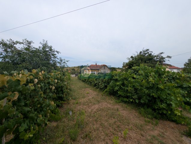 Eladó családi ház, Bánhorvátiban 10.5 M Ft, 5 szobás