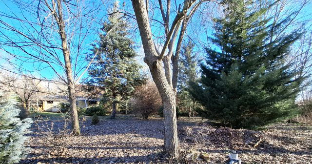 Eladó családi ház, Tápiószelén 22.9 M Ft, 2 szobás