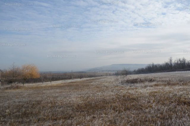 Eladó mezogazdasagi ingatlan, Isaszegen 119 M Ft