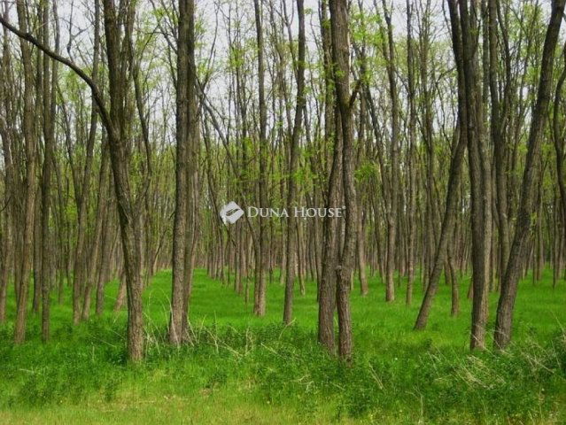 Eladó telek, Lakitelken 8.2 M Ft / költözzbe.hu