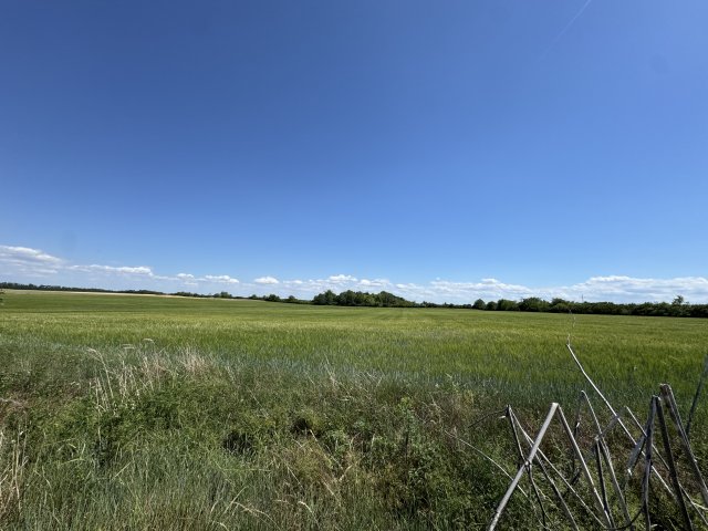 Eladó mezogazdasagi ingatlan, Papkeszin 2.49 M Ft