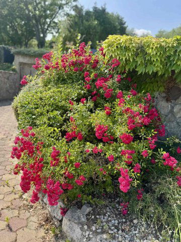 Eladó nyaraló, Alsóörsön 119.9 M Ft, 2 szobás