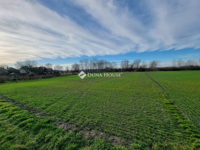 Eladó telek, Ráckevén 10 M Ft / költözzbe.hu