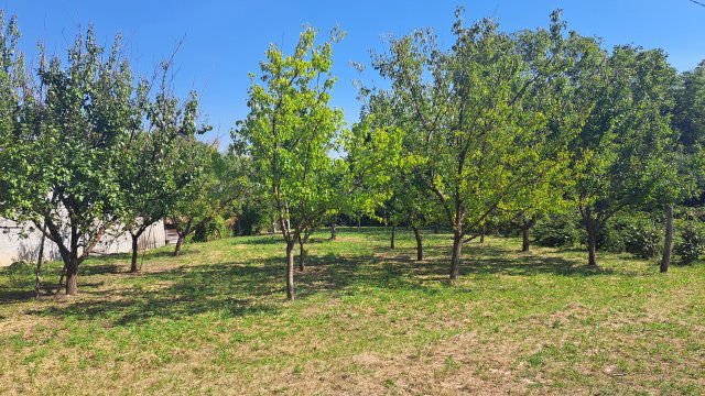 Eladó telek, Markazon, Árpád utcában 13.9 M Ft