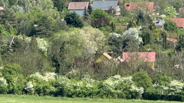 Eladó családi ház, Domonyban 69.9 M Ft, 3+1 szobás