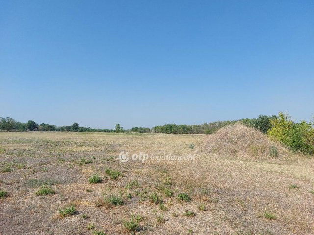 Eladó családi ház, Ruzsán 18.5 M Ft, 2 szobás