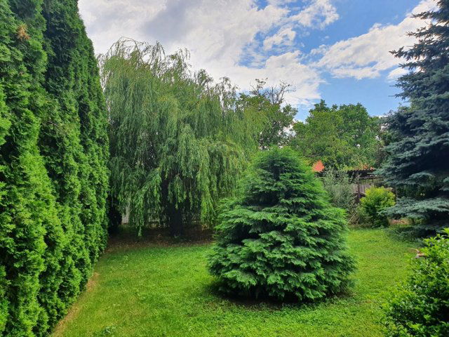 Eladó családi ház, Gyömrőn 139 M Ft, 6 szobás