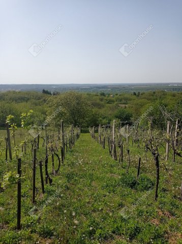 Eladó családi ház, Zalaegerszegen 12.7 M Ft, 2 szobás