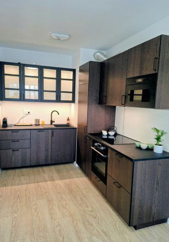 Kiadó téglalakás, albérlet, Budapesten, IX. kerületben