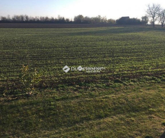 Eladó telek, Telekin 29.9 M Ft / költözzbe.hu