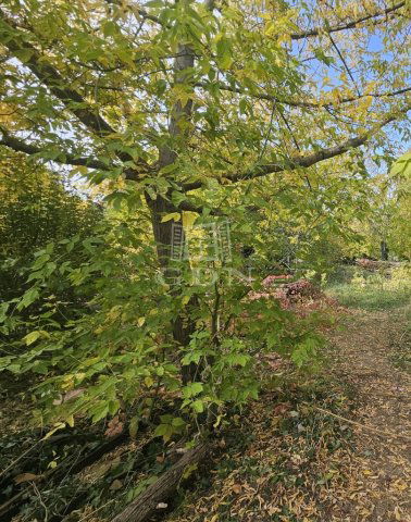 Eladó telek, Budapesten, XXII. kerületben 115 M Ft