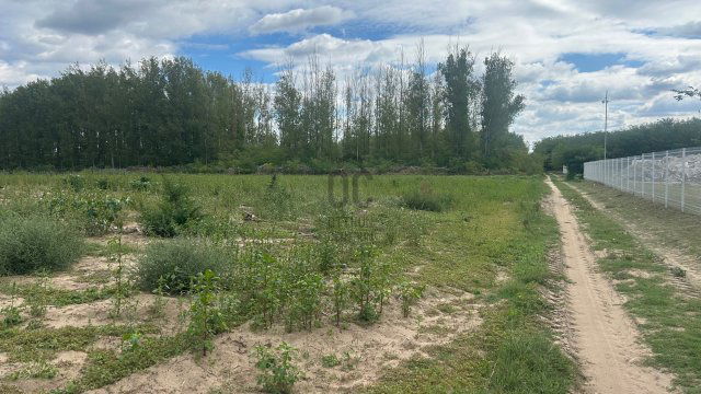 Eladó telek, Alsónémediben 398 M Ft / költözzbe.hu