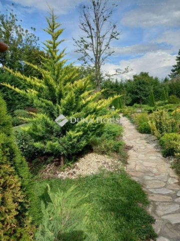 Eladó családi ház, Zamárdiban 420 M Ft, 11 szobás