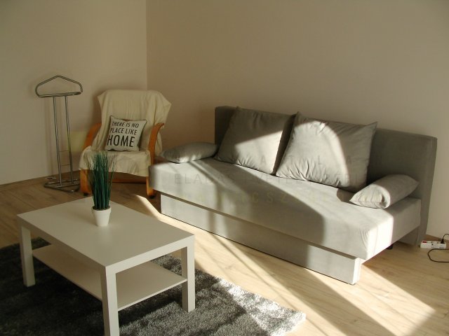 Kiadó téglalakás, albérlet, Szegeden 160 E Ft / hó, 1 szobás