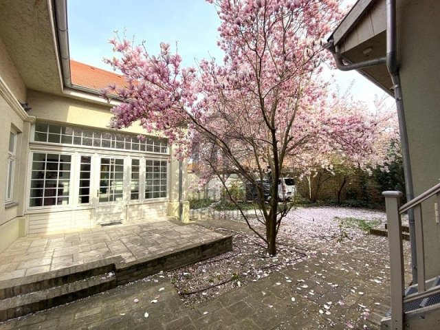 Kiadó iroda, Kecskeméten 783 E Ft / hó / költözzbe.hu