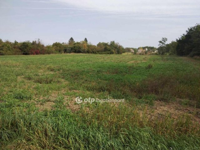 Eladó telek, Vönöckön 4 M Ft / költözzbe.hu