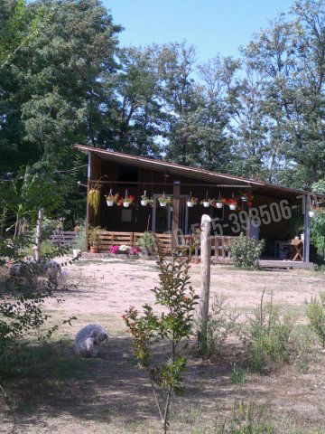 Eladó mezogazdasagi ingatlan, Lajosmizsén 54.5 M Ft