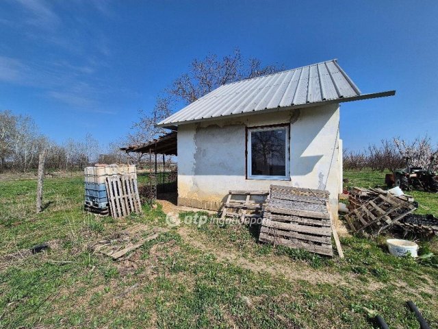 Eladó mezogazdasagi ingatlan, Szentesen 22.8 M Ft