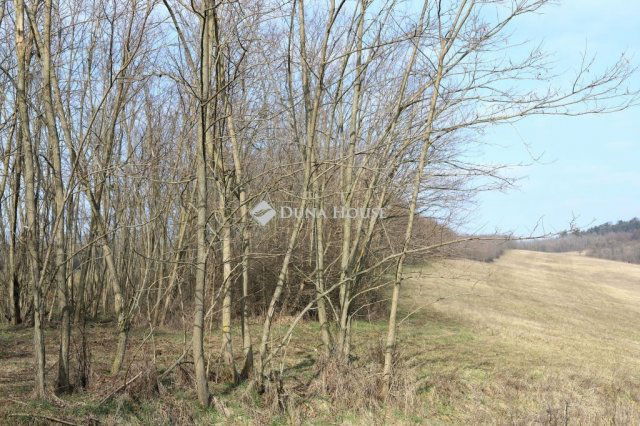 Eladó mezogazdasagi ingatlan, Alsónemesapátiban 55 M Ft