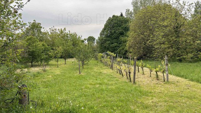 Eladó telek, Győrött 64.9 M Ft / költözzbe.hu