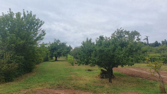 Eladó telek, Szentkirályszabadján 59 M Ft / költözzbe.hu