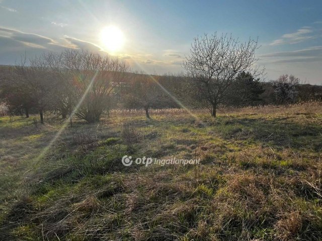 Eladó telek, Martonvásáron 16 M Ft / költözzbe.hu