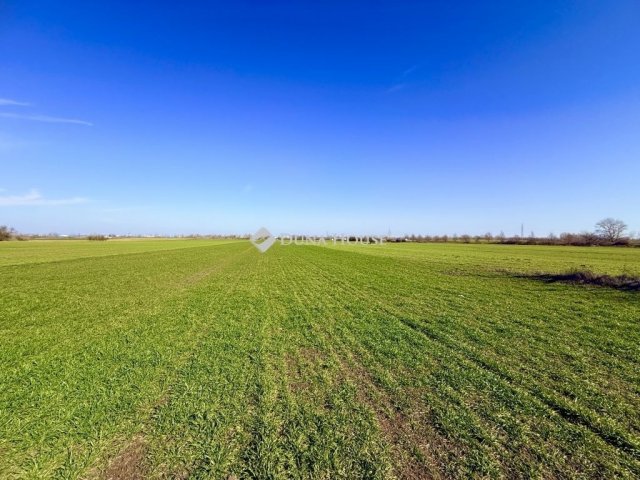 Eladó telek, Taksonyon 30 M Ft / költözzbe.hu