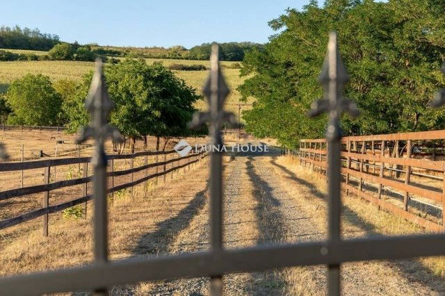 Eladó családi ház, Erdőkertesen 325 M Ft, 5 szobás