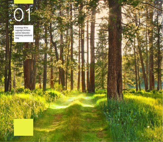 Eladó ipari ingatlan, Hövejen 0.039 M Ft / költözzbe.hu