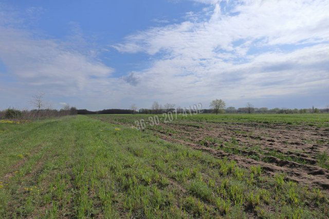 Eladó telek, Szatymazon 3.2 M Ft / költözzbe.hu