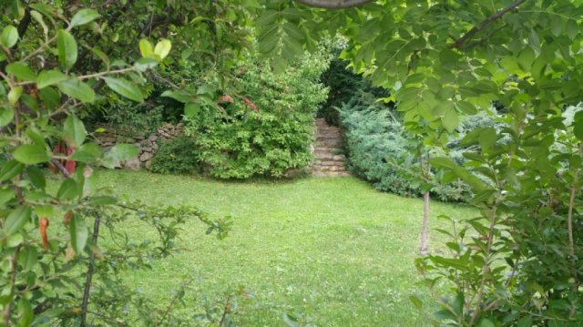 Kiadó családi ház, albérlet, Budapesten, II. kerületben