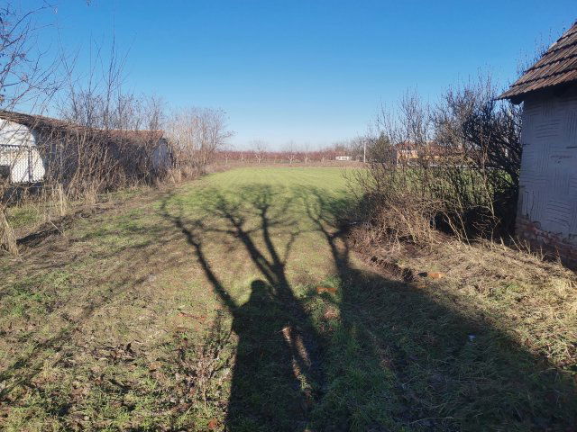 Eladó telek, Tiszakécskén 5.9 M Ft / költözzbe.hu