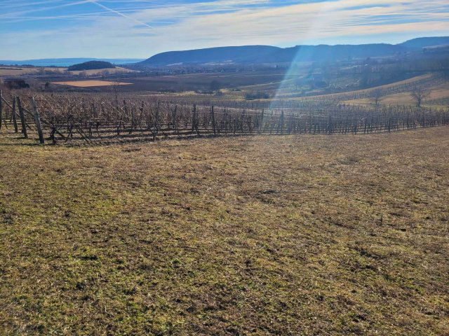 Eladó mezogazdasagi ingatlan, Szentjakabfán 39.9 M Ft
