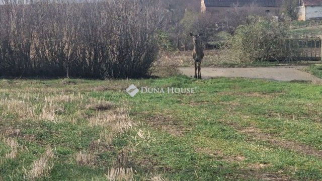 Eladó telek, Velényen 6 M Ft / költözzbe.hu