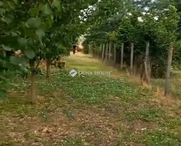 Eladó telek, Orosházán 4.9 M Ft / költözzbe.hu