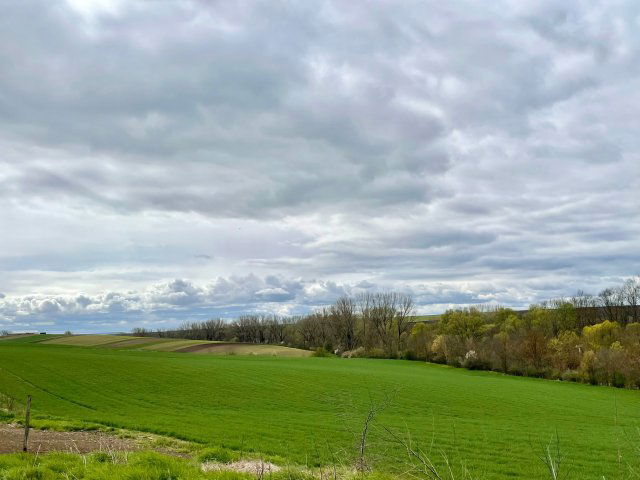 Eladó telek, Enyingen 6.5 M Ft / költözzbe.hu
