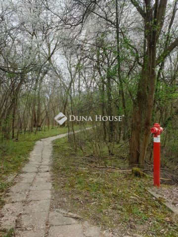 Eladó telek, Szegeden 176 M Ft / költözzbe.hu