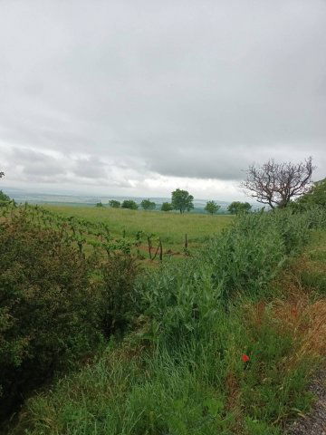 Eladó mezogazdasagi ingatlan, Csókakőn 14.8 M Ft