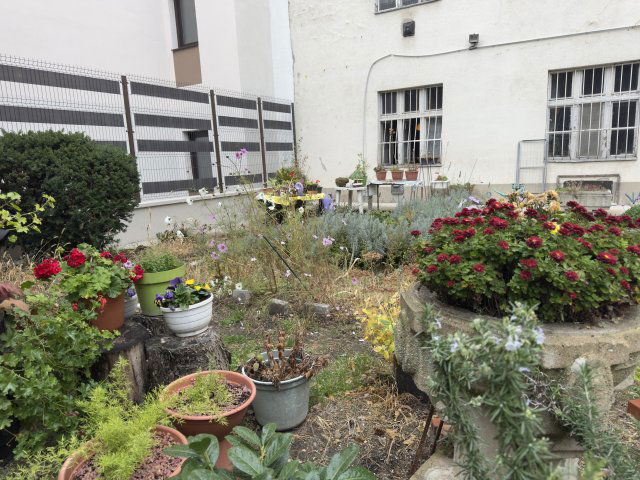 Eladó téglalakás, Budapesten, XIII. kerületben 44.2 M Ft