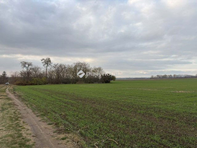 Eladó mezogazdasagi ingatlan, Jászberényben 12.5 M Ft