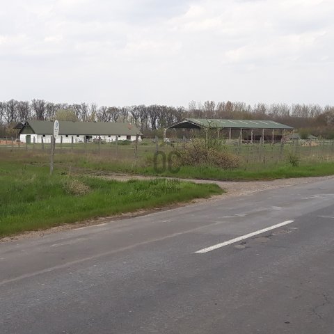 Eladó mezogazdasagi ingatlan, Tiszacsegén 400 M Ft